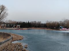 -大兴滨河森林公园