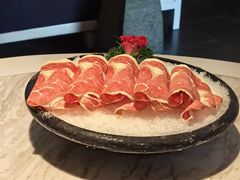 -汤城·料青山