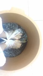 -派恩宜灰指甲鸡眼嵌甲手足癣