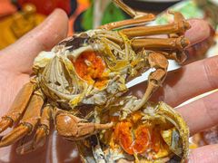 -以岭健康城·凯旋门大酒店-怡梦音乐西餐厅