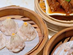 -点都德·毕德寮