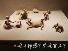 -徐州博物馆