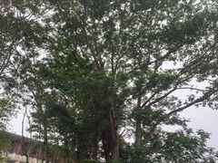 -隐秀山居酒店大堂吧