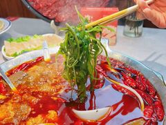 -渝大龙重庆火锅(温泉月亮湾店)