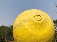 -顺峰山公园