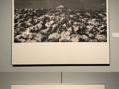 -江苏省美术馆(长江路新馆)