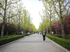 -迎泽公园
