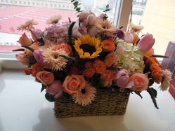 -神农灸道艾灸养生馆