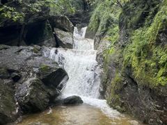 -牛背梁国家森林公园