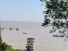 -平湖九龙山旅游度假区