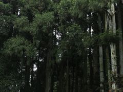-井冈山风景名胜区