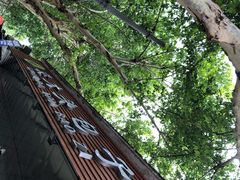 门面-袁大头包子(光华路店)