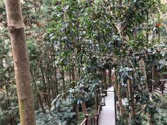 -天明山温泉大酒店