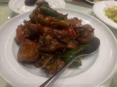 生炒崂山上树鸡-鑫复盛大酒店(白沙河店)