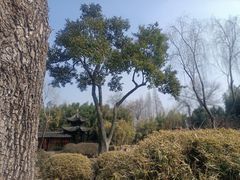 -个园