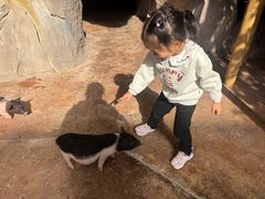 -杭州开元森泊度假乐园