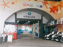 -贝壳梦幻世界