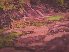 -广州七星岗古海岸遗址科学公园