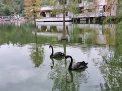 -广州市白云山风景名胜区
