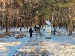 -帽儿山国家森林公园