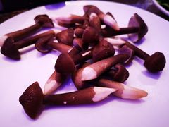 -千岛蚝高压锅生蚝·人参火锅(白云万达店)