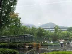 -阿里中心·杭州Z空间