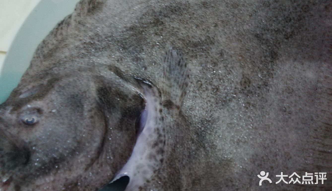 原汁原味的清蒸多宝鱼,不加其他料