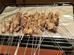 -野人部落(沈阳一店)