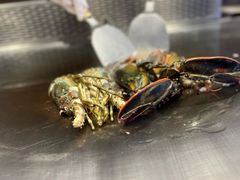 -黑木原精致料理·铁板烧