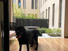 -上海崇明金茂凯悦酒店