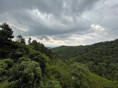 -安吉涵田度假村·水榭居中餐厅