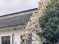 -梁鸿国家湿地公园