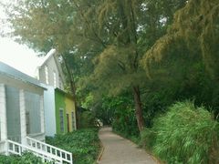 -玫瑰海岸文化旅游度假区