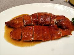 -香港百合居(LCM置汇旭辉广场店)