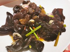 凉拌木耳-西贝(上海新梅广场店)