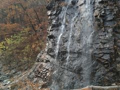 -龙道沟景区