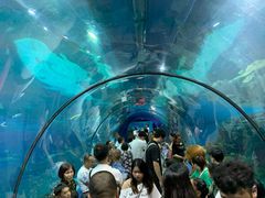 -福州罗源湾海洋世界旅游区