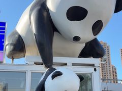 -海河游船-永乐码头(大悲院)