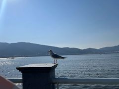 -滇池海埂公园