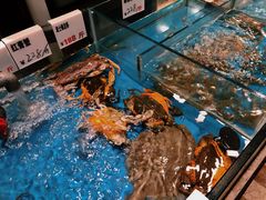 菜单-菲乐餐厅(三十年经营·湖滨路店)