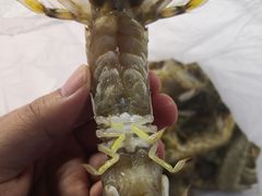 -李村大集