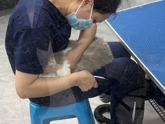 -瑞鹏宠物医院华南总院·夜诊·心脏科·骨科