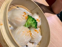 -南枝记