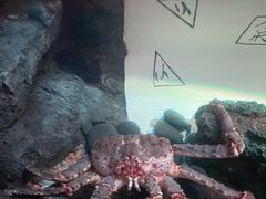 -沈阳海洋探索中心