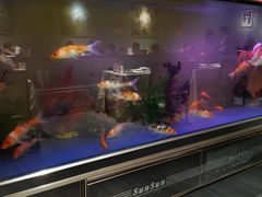 -欣旺·迎宾楼·百年无锡菜