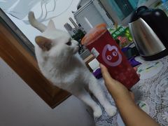 -CoCo都可(宝龙广场店)