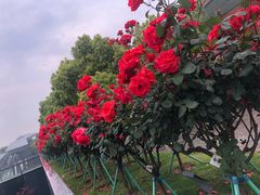 -钱江新城