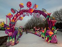 -沈阳奥体冰雪嘉年华