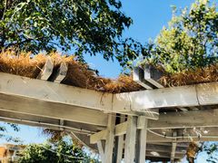 -安德鲁户外烧烤帐篷营地(马泉营店)