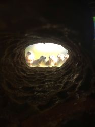 点击看大图 -北京科学中心儿童乐园